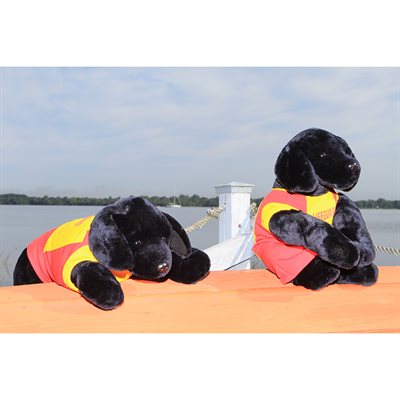 Buddy the Lifeguard Dog with mini lifeguard uniform